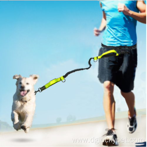 Pet Leashes Traction Rope Running Belt Traction Rope